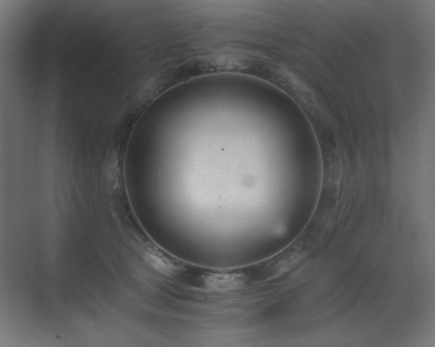 X0000073450465200607281225