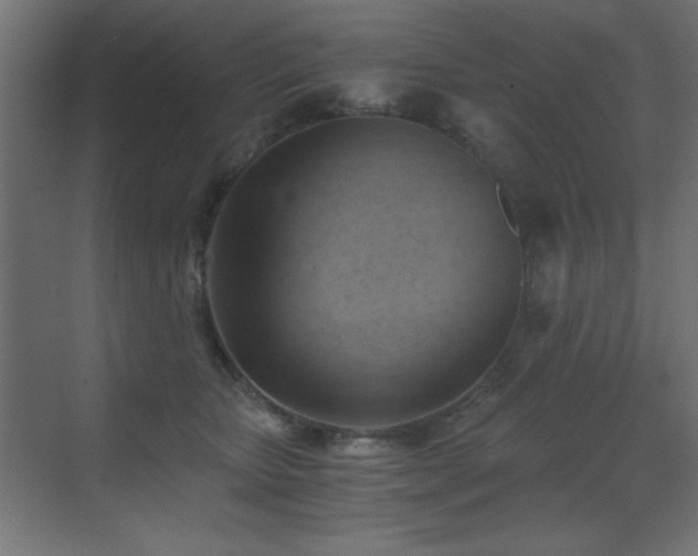 X0000073450467200607281225