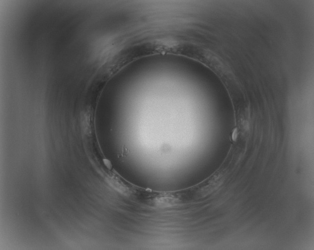 X0000073450468200607281225