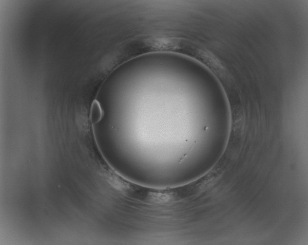 X0000073450469200607281225