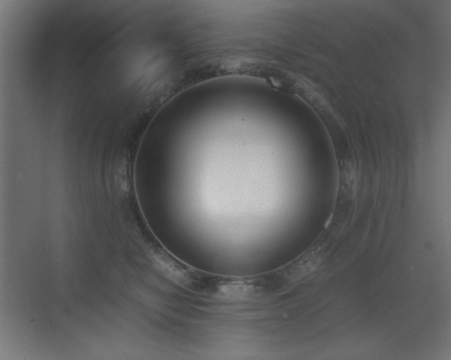 X0000073450470200607281225