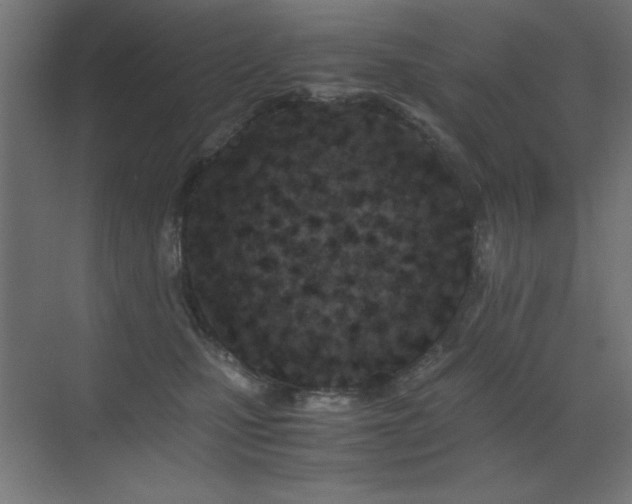 X0000073450471200607281225