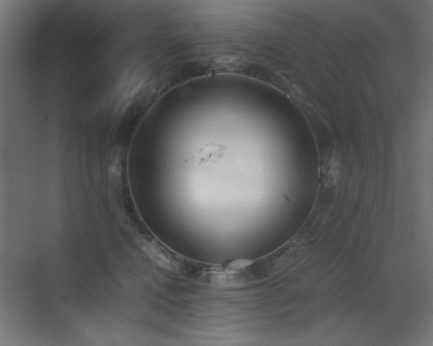 X0000073450472200607281226