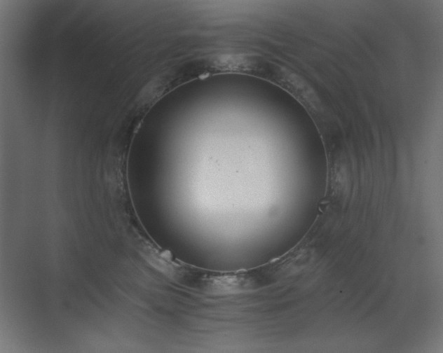 X0000073450473200607281226