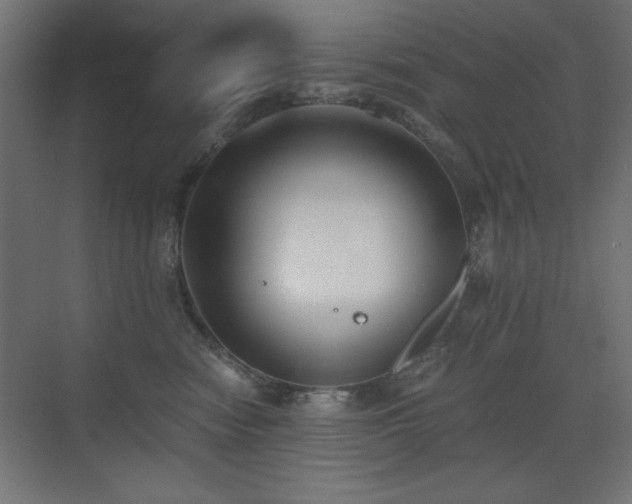 X0000073450474200607281226