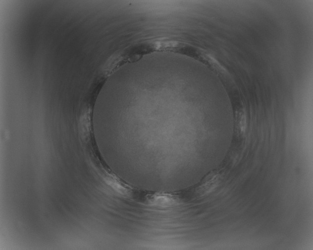 X0000073450475200607281226