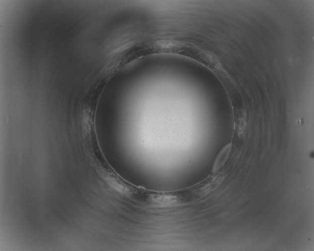 X0000073450476200607281226