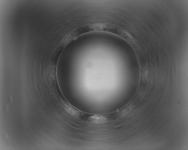 X0000073450477200607281226