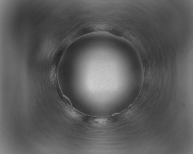 X0000073450478200607281226