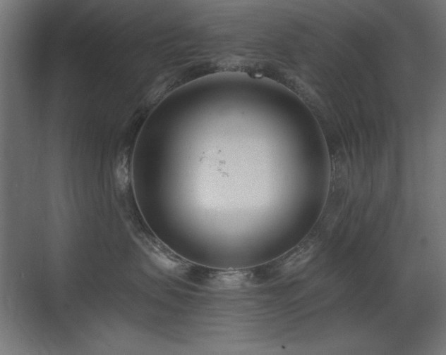 X0000073450479200607281226