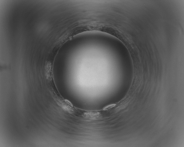 X0000073450480200607281226