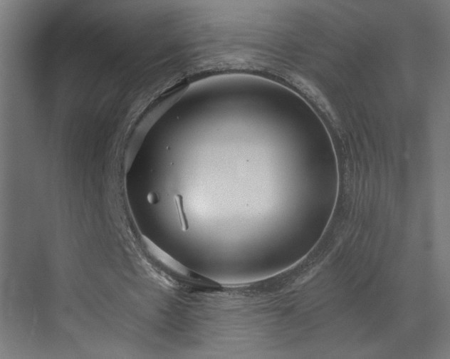 X0000073450481200607281225