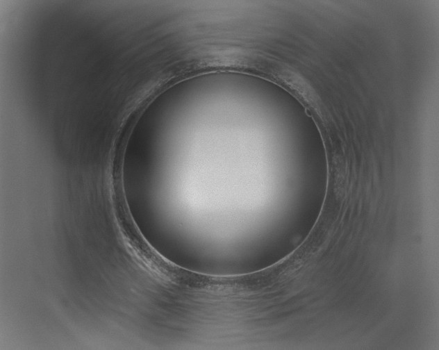 X0000073450482200607281225