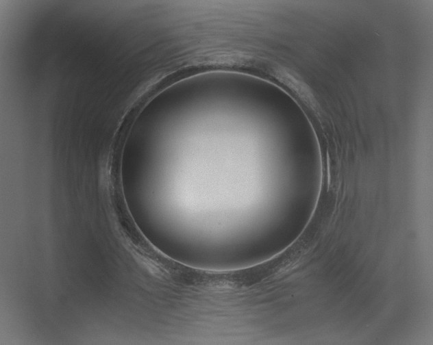 X0000073450483200607281225