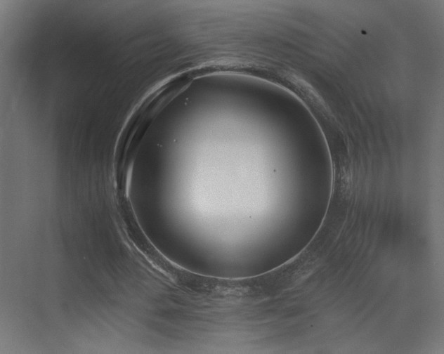 X0000073450484200607281225