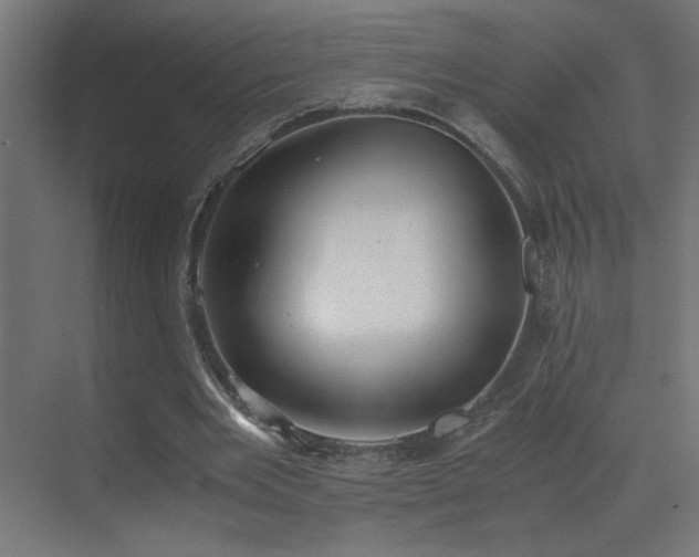 X0000073450485200607281225