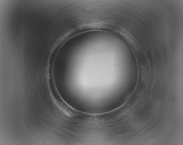 X0000073450486200607281225