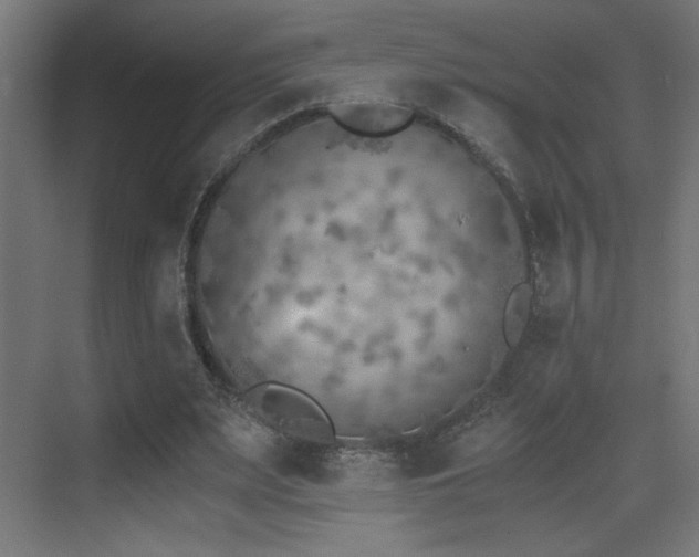 X0000073450487200607281225