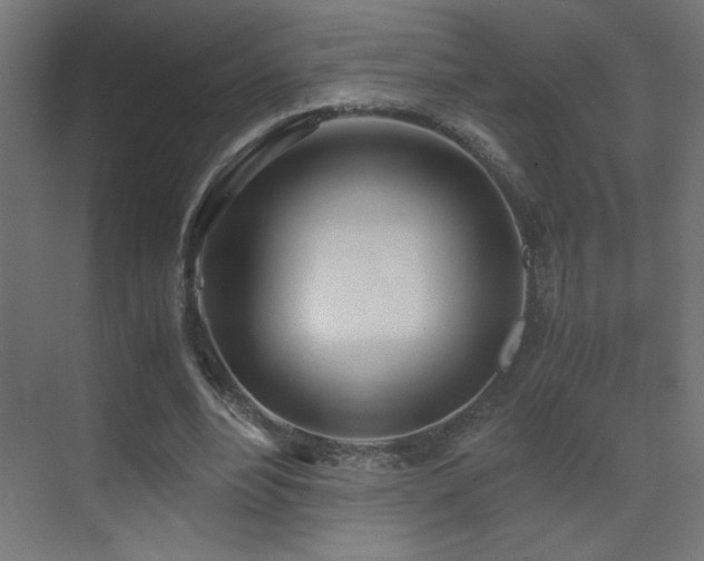 X0000073450488200607281225