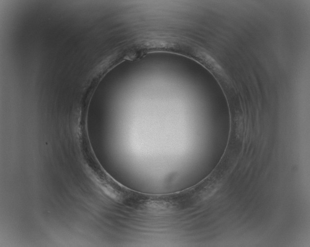 X0000073450490200607281225