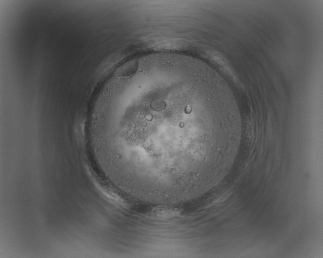 X0000073450491200607281225