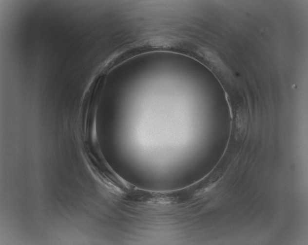 X0000073450492200607281225