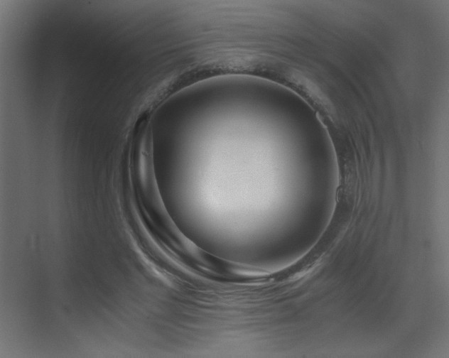 X0000073450493200607281225