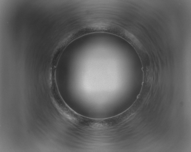 X0000073450494200607281225