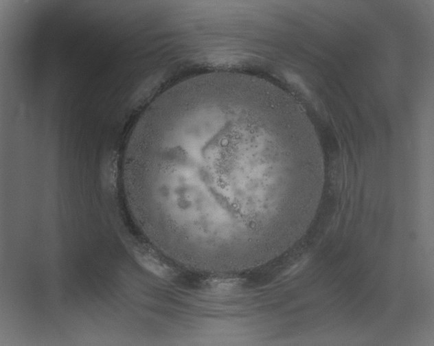 X0000073450495200607281225