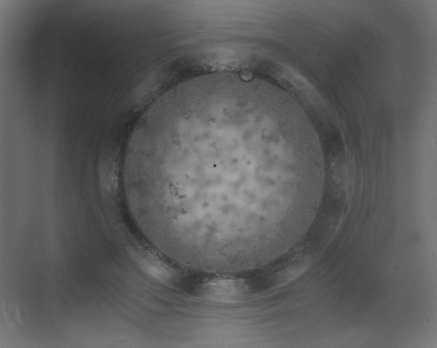 X0000073450499200607281225