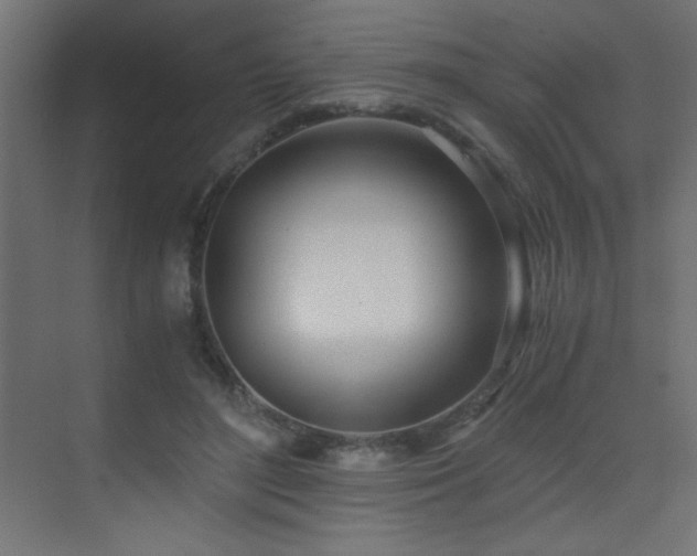 X0000073450500200607281224