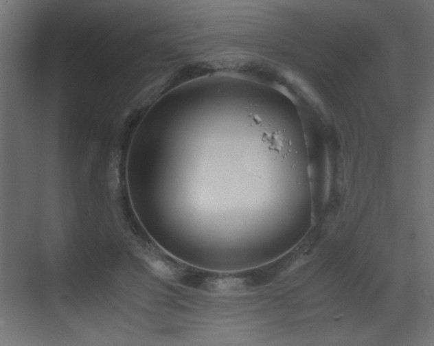 X0000073450501200607281224