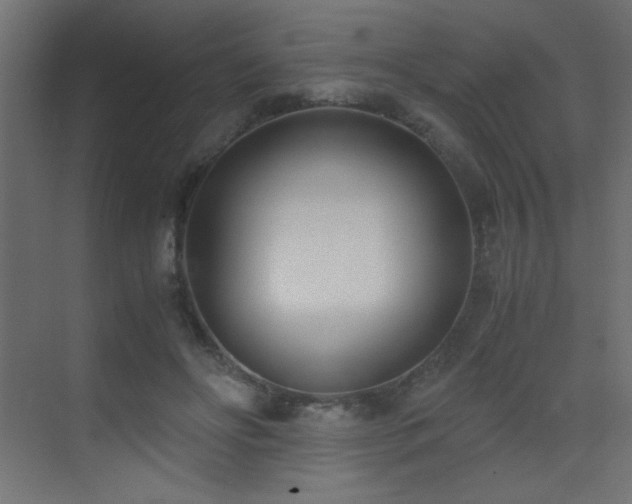 X0000073450502200607281224