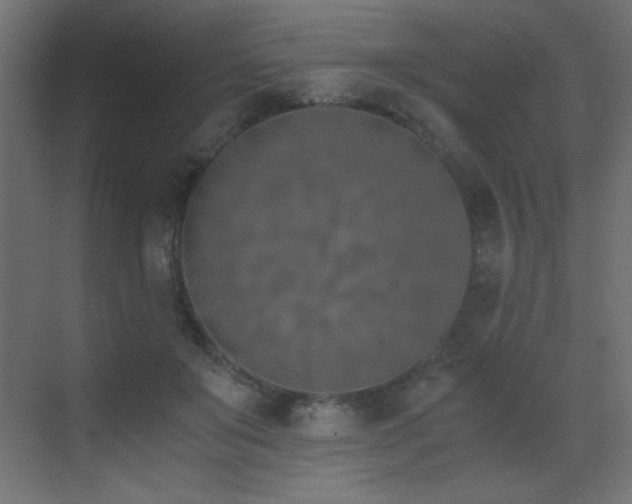 X0000073450503200607281224