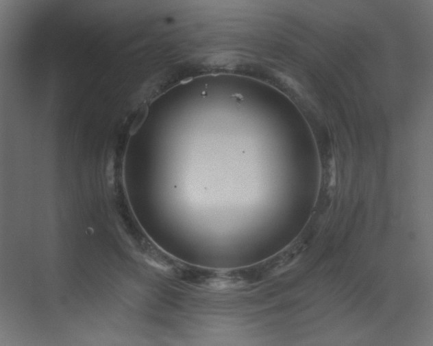 X0000073450504200607281224