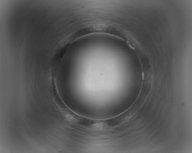 X0000073450505200607281224