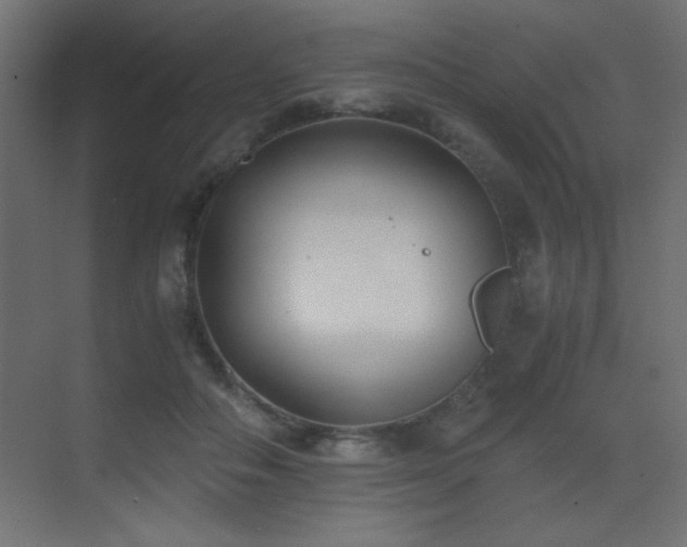 X0000073450506200607281224