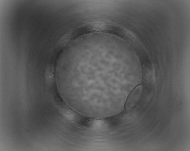 X0000073450507200607281224