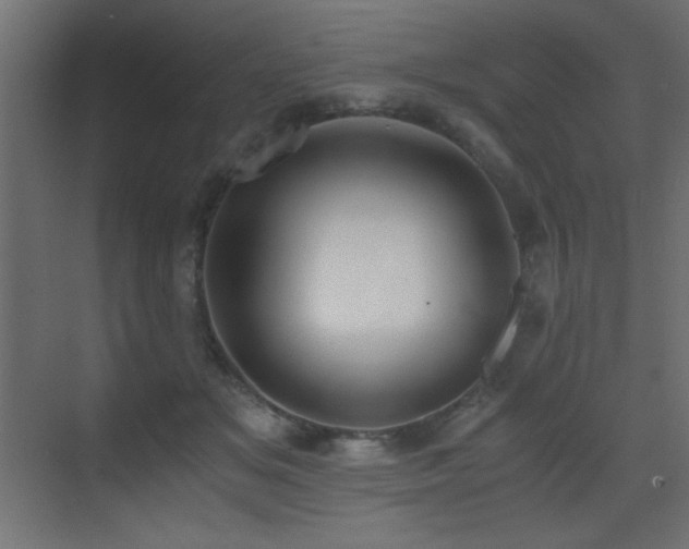 X0000073450509200607281224