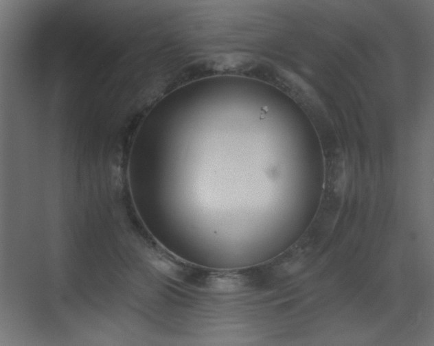 X0000073450510200607281224