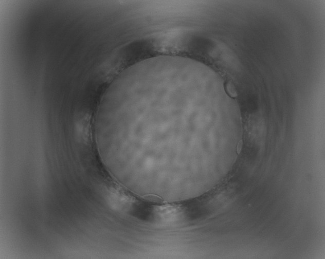 X0000073450511200607281224