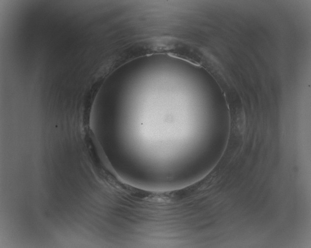 X0000073450512200607281224