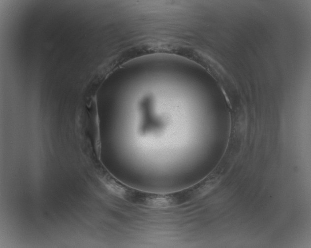 X0000073450513200607281224