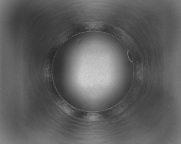 X0000073450514200607281224