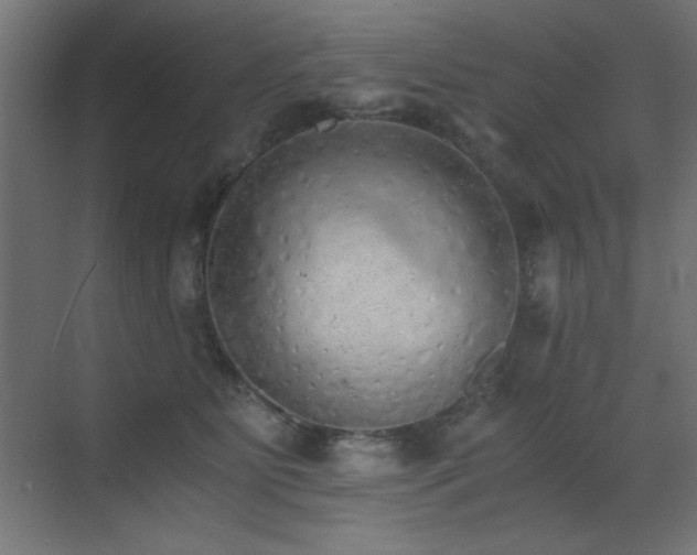 X0000073450515200607281224