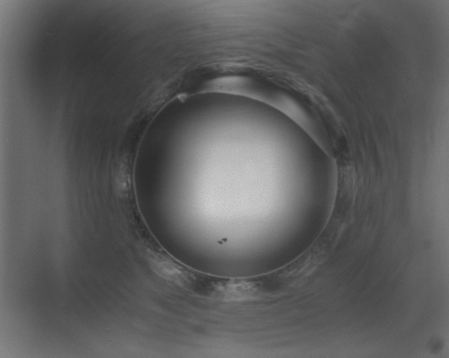 X0000073450517200607281224