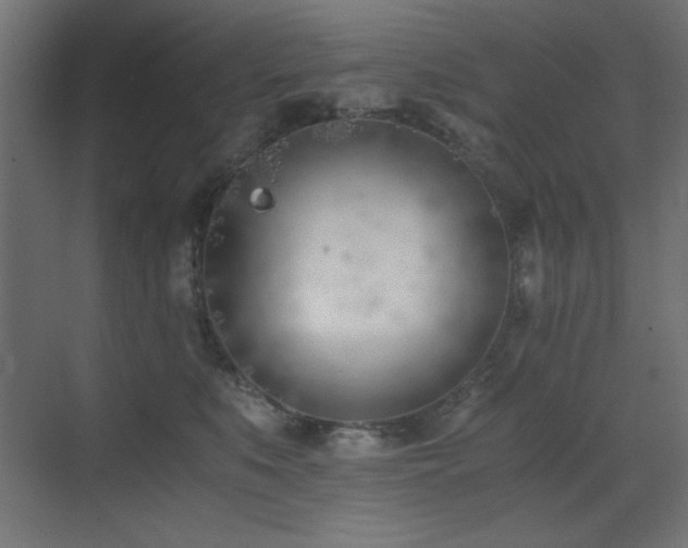 X0000073450519200607281224