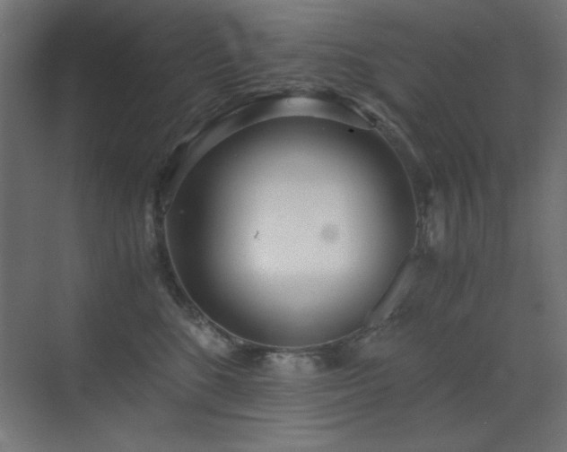 X0000073450520200607281224