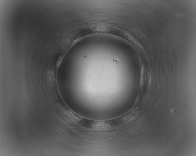 X0000073450521200607281224