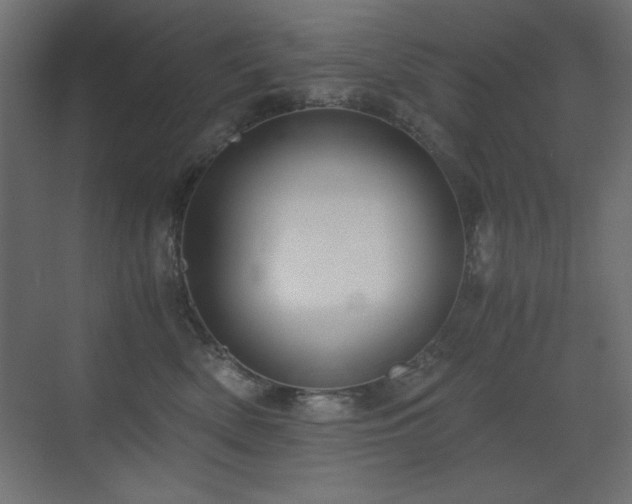 X0000073450522200607281224